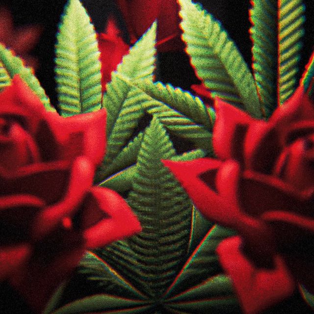 Psychedelic Roses