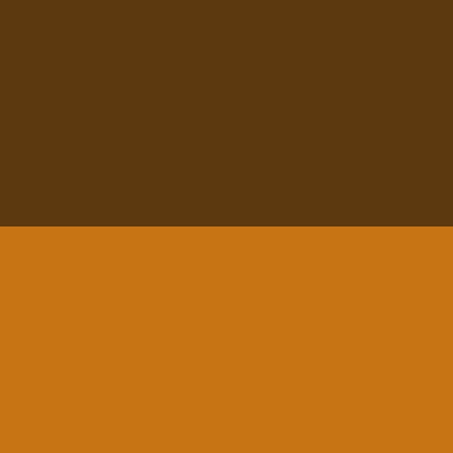 CLASSIC SHADES