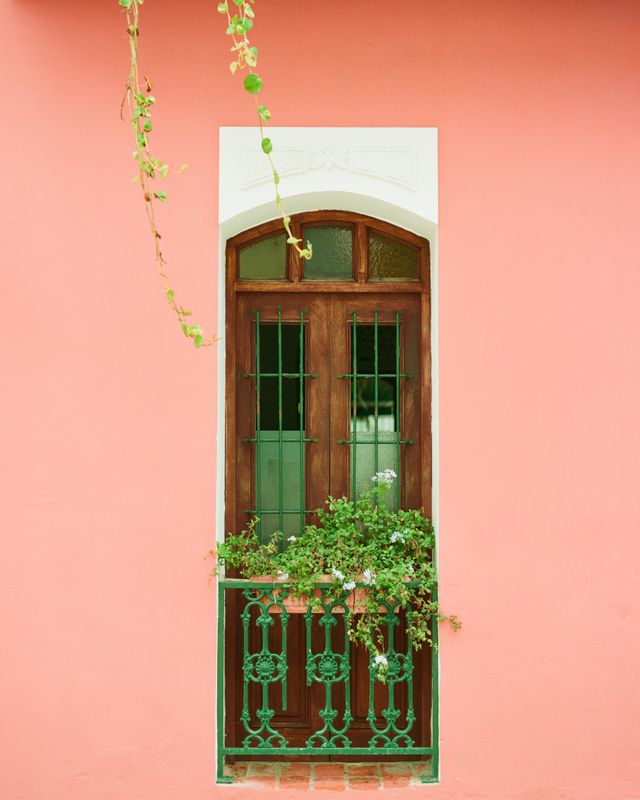Rosa