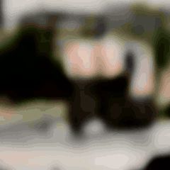 Maeng-Practice 2025.09.14 (EITP #023) 