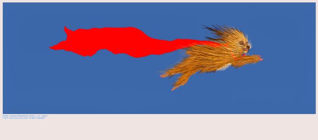 P_D_E <E.7(D-BACK) > JPEG givETH, JPEG takETH > (YETI YETKINS IN FLIGHT)