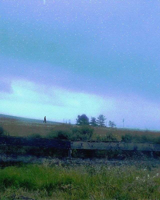 Field of Dreams 
