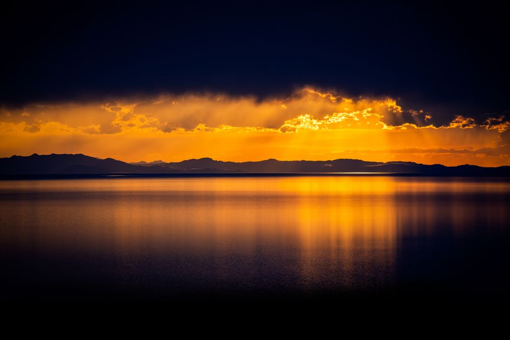 Manifest