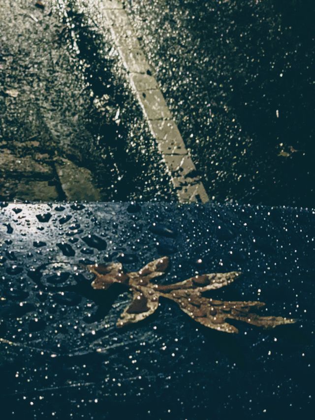 Fallen