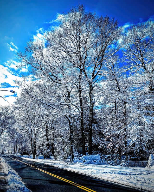 Winter Unleashed