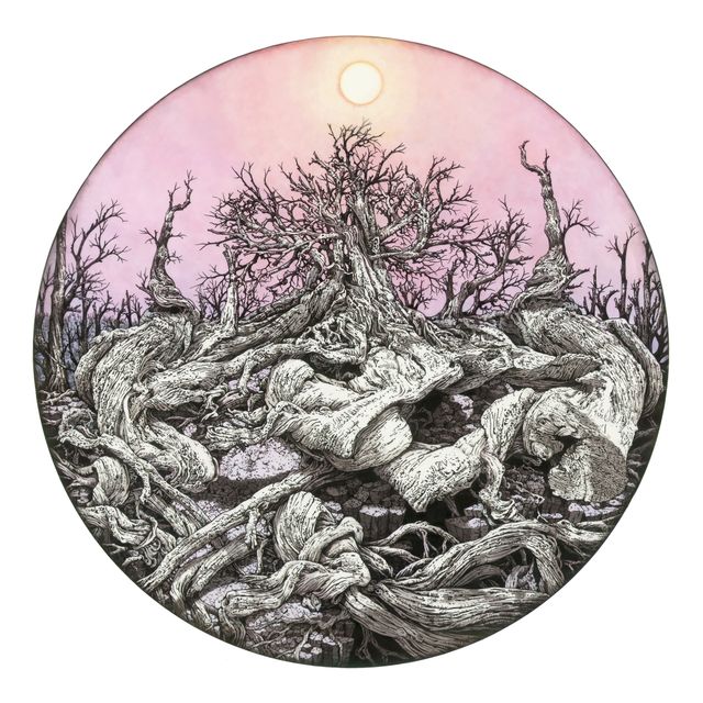 Rooted