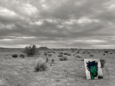High Desert Zombie