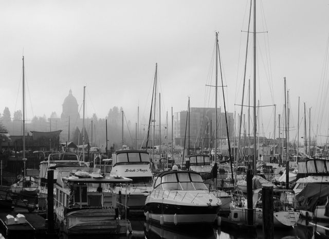 The Quiet Marina