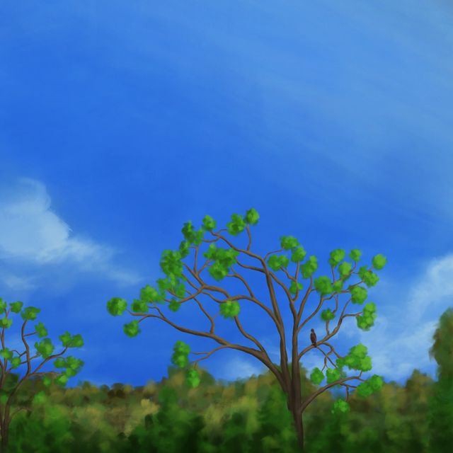 Life Impression 29