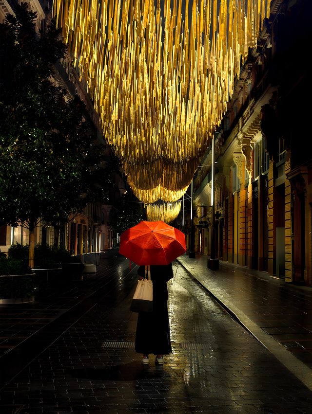 Gilded Solitude