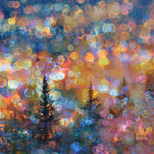 Ante Lucem By Jennifer Panepinto