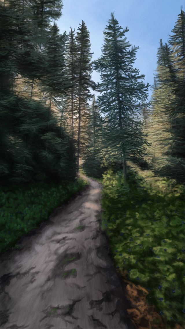 Life Impression 32