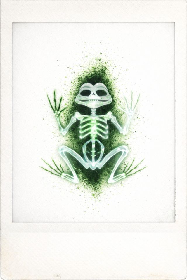 NOT DED FROG