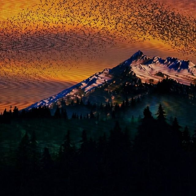 “Murmurations”: I. “Effortless Flow” by John Thurman