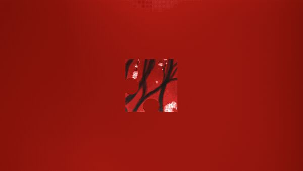 Fragment 16
