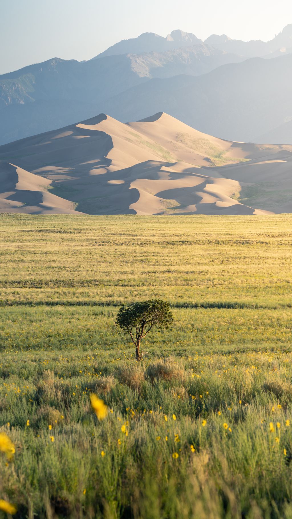 Alone at the Dunes