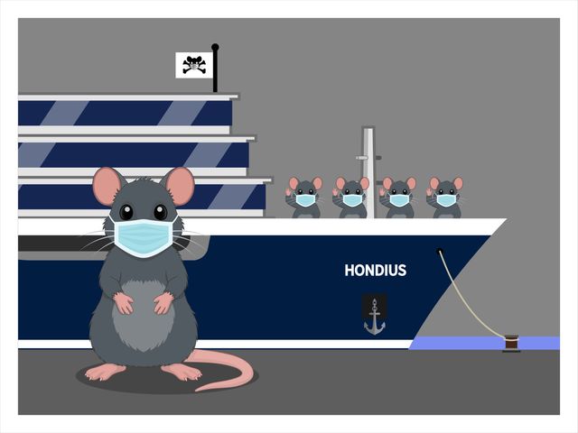 Hanta Montanta Virus