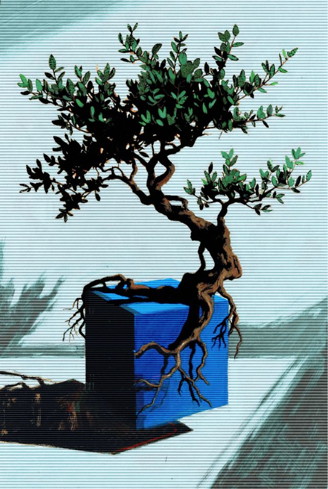Live Outside the Box 38- Arbutus canariensis
