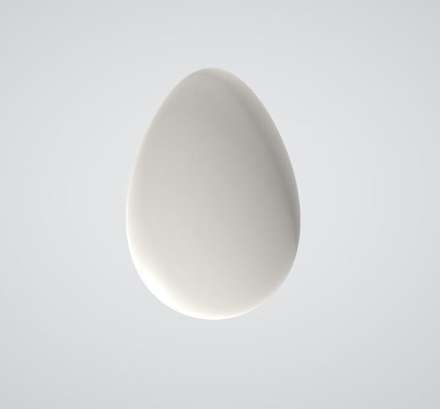 Egg