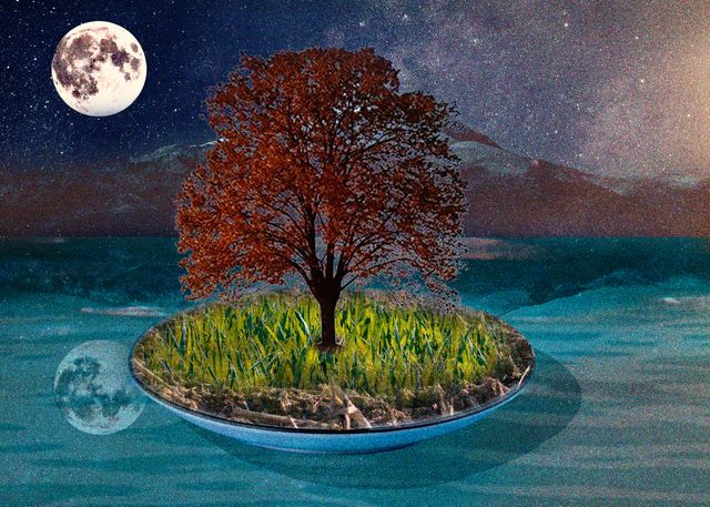 The Plate of Nature