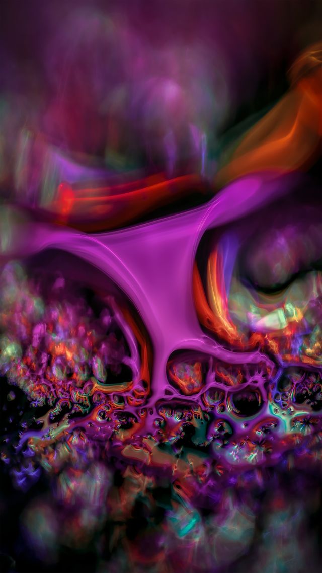 The Womb