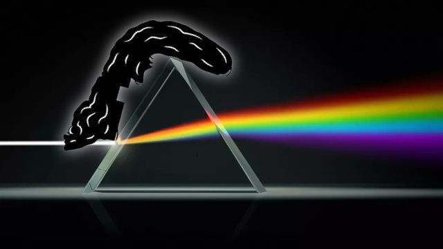 Dark Side of the Mullet