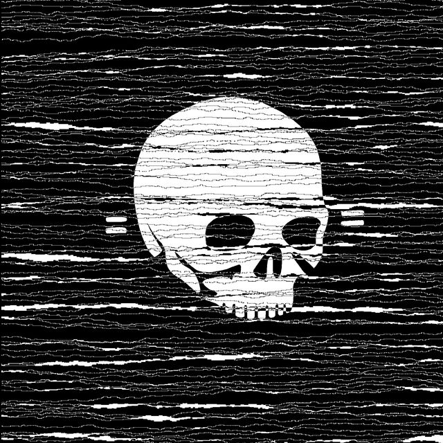 Skullector