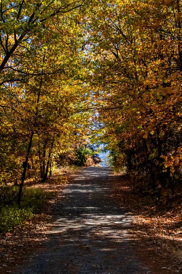 Autumn’s Passage
