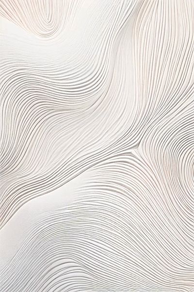 Imagination 355