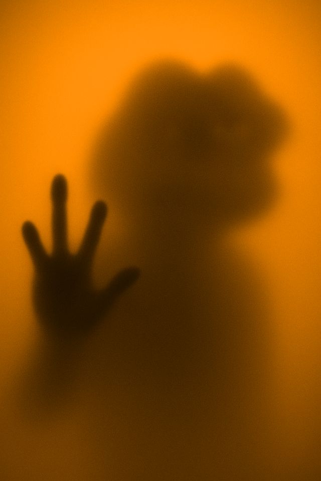 Arrival (The Amber Edition)