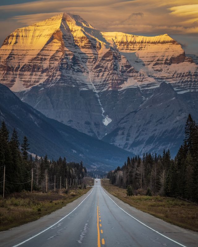 The Road to 100