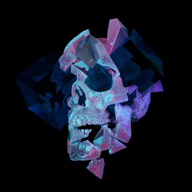 THE TENTH SKULL