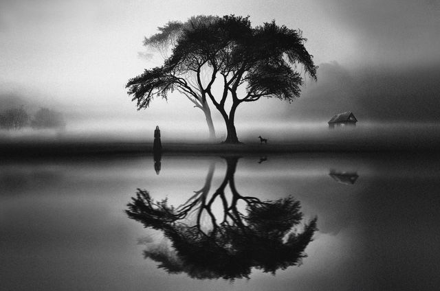Listen to the Silence