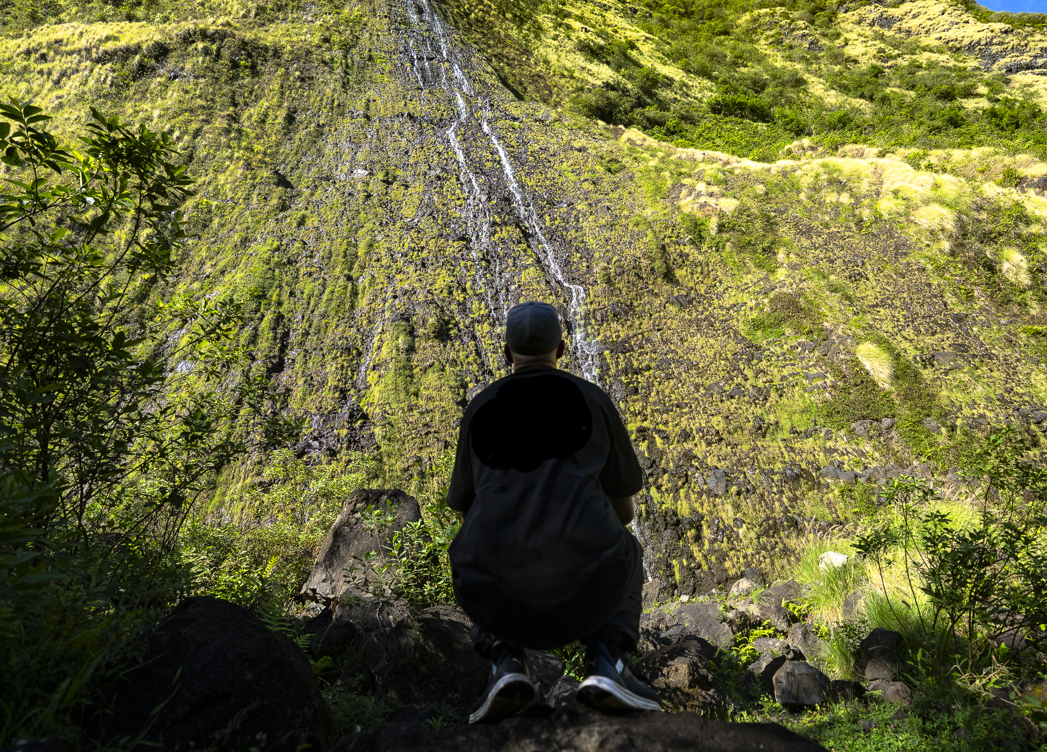 Jacob VanderVelde image