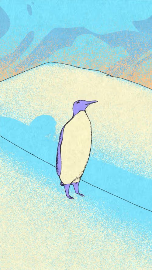 City Penguin
