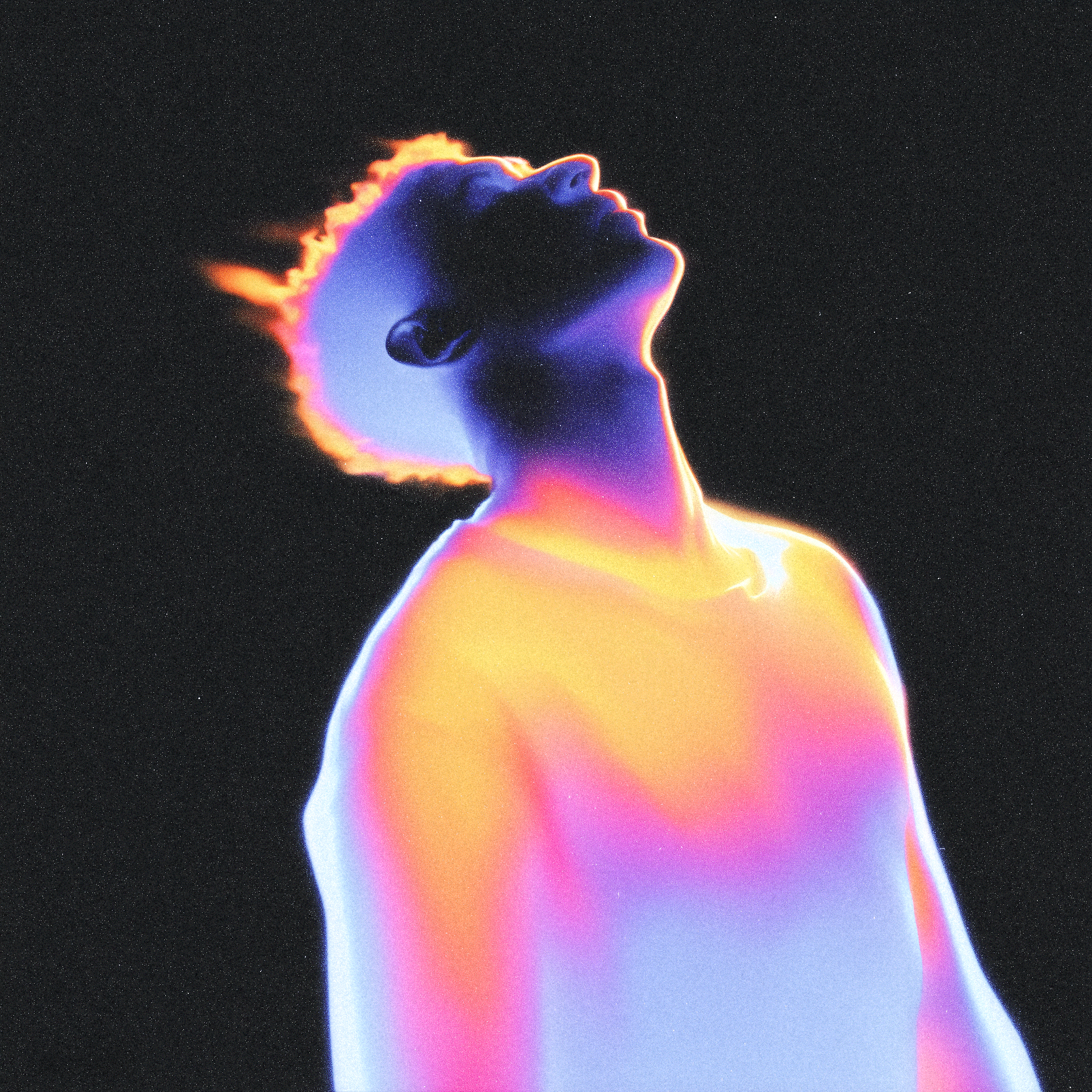 Nicolas Carter image