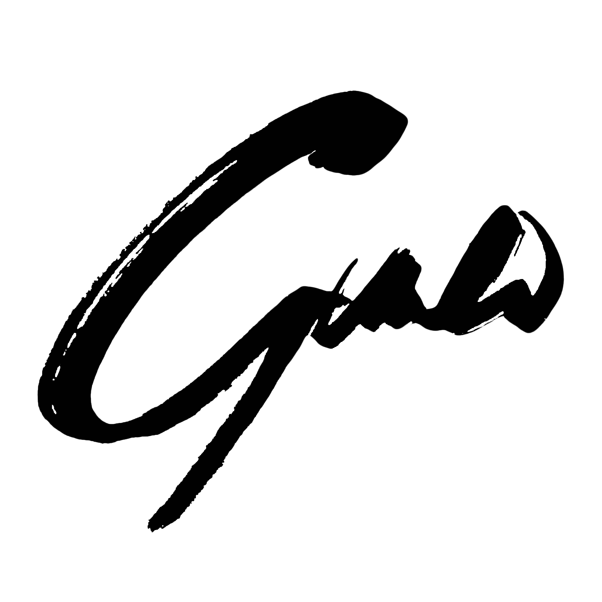 Guido Di Salle image