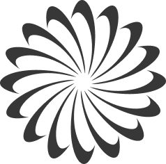 STVDIO image