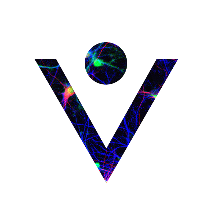 vividintraglobal image