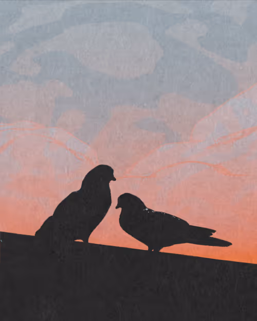 Small Town Birds
