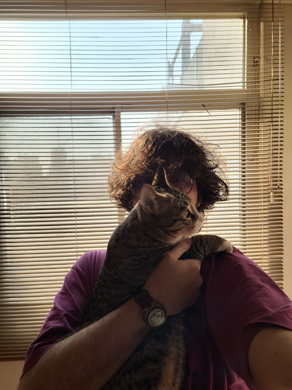 The siiid image