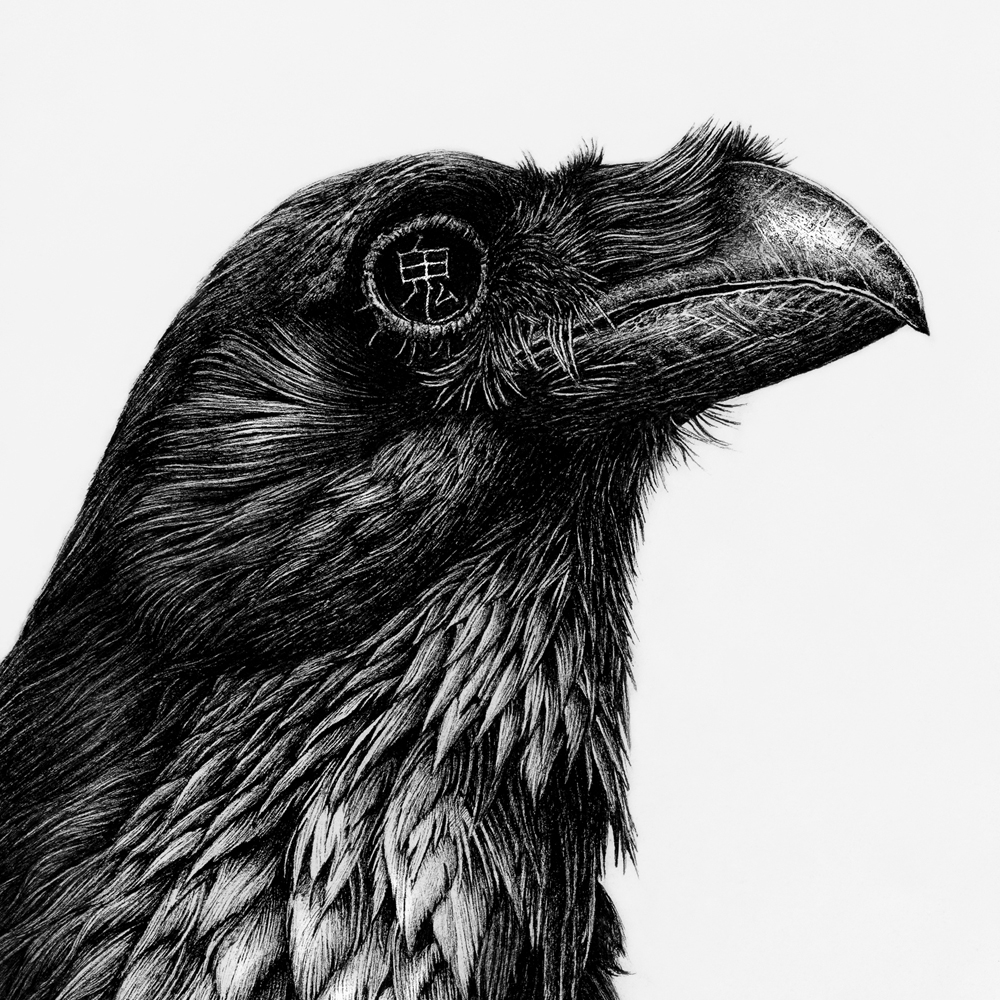 Karl Trewhela image