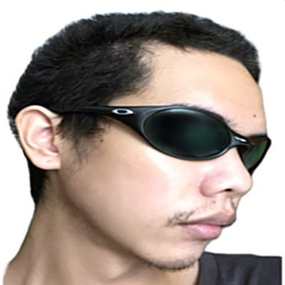 NATCAT image